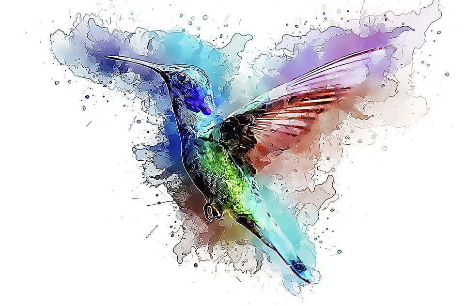 5 Native Plants that Attract Hummingbirds – Free Planting Plan