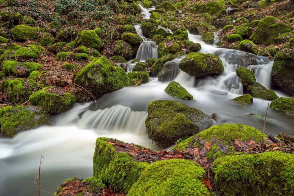 life-giving-water