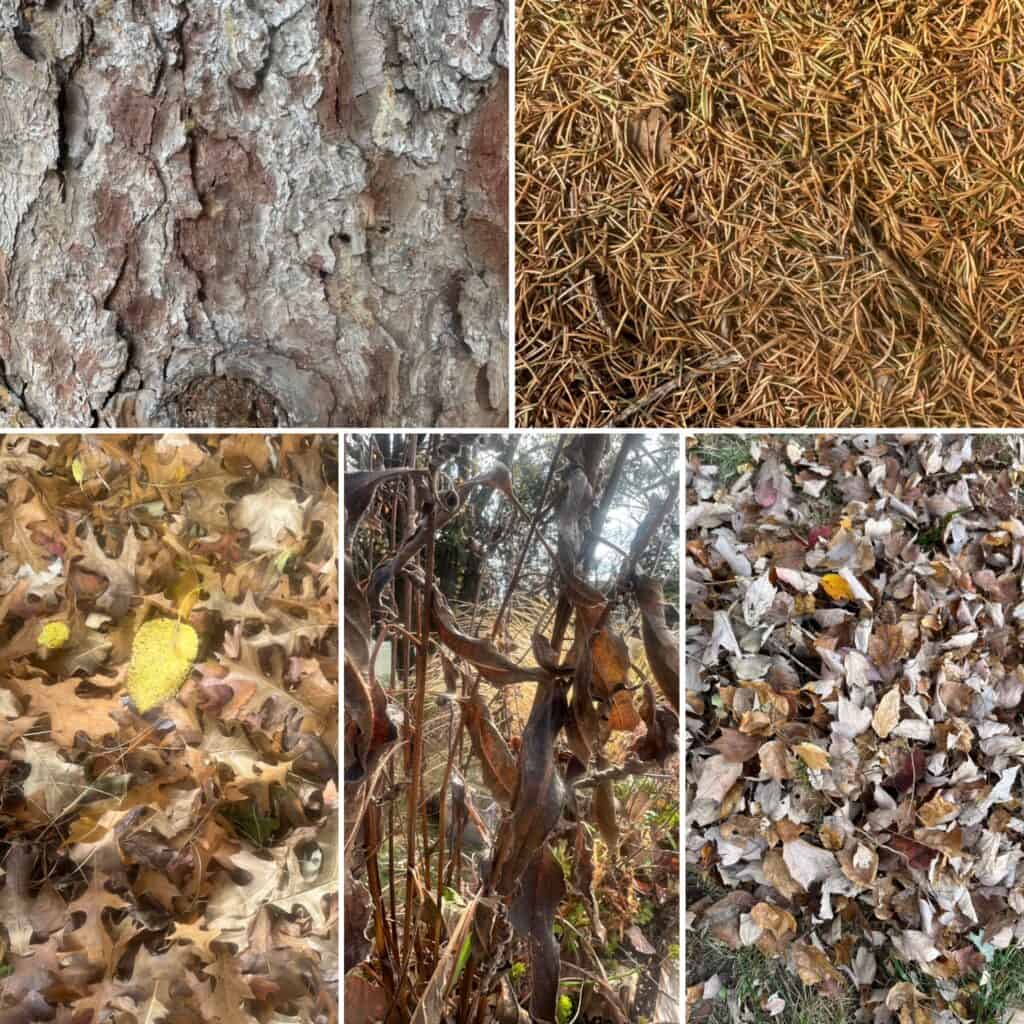 the dark side of bark mulch