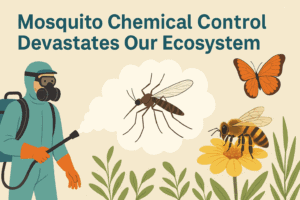 Mosquito Control Devastates Ecosystems